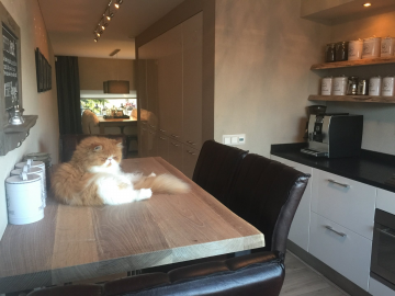 Eiken tafelblad op maat 0