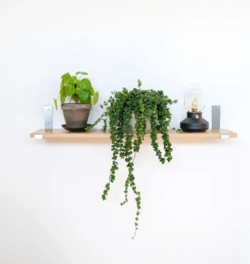 Witte plankdrager up 15cm 0